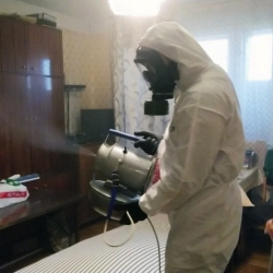 Дезинфекция от клопов в Ивановском районе Москвы