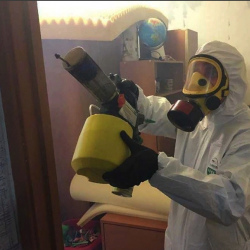 Уничтожение клопов в квартире. Ивановское